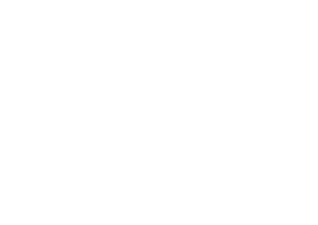 DigitalBiel